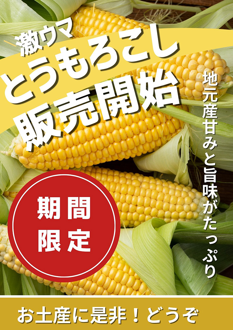 とうもろこし販売開始のご案内